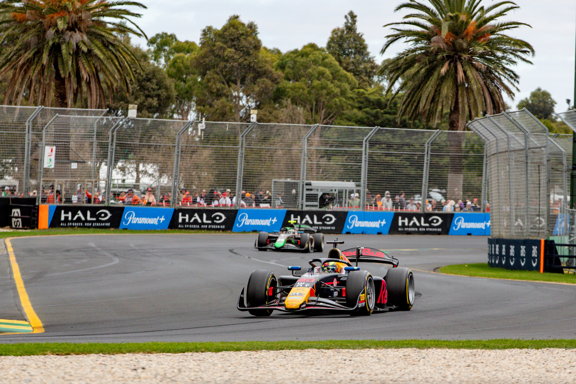 Melbourne Grand Prix 2024 - Figure 1